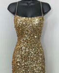 #GL3051 Sequins Gown