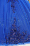 3D Floral Applique Glitter/Sequin Quinceanera Ball Gown. Jewel Detail, Corset/Zipper Closure Gown